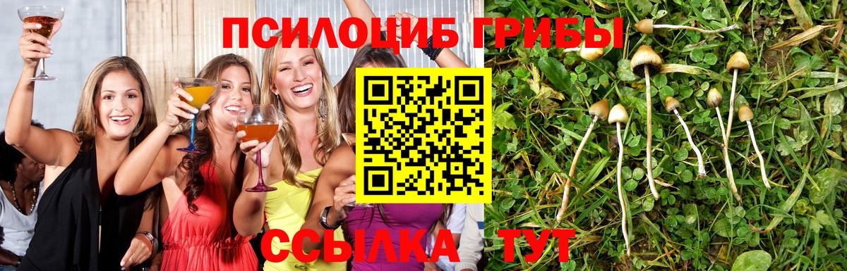 Лабытнанги  Псилоцибиновые грибы Cubensis  Вход с VPN 