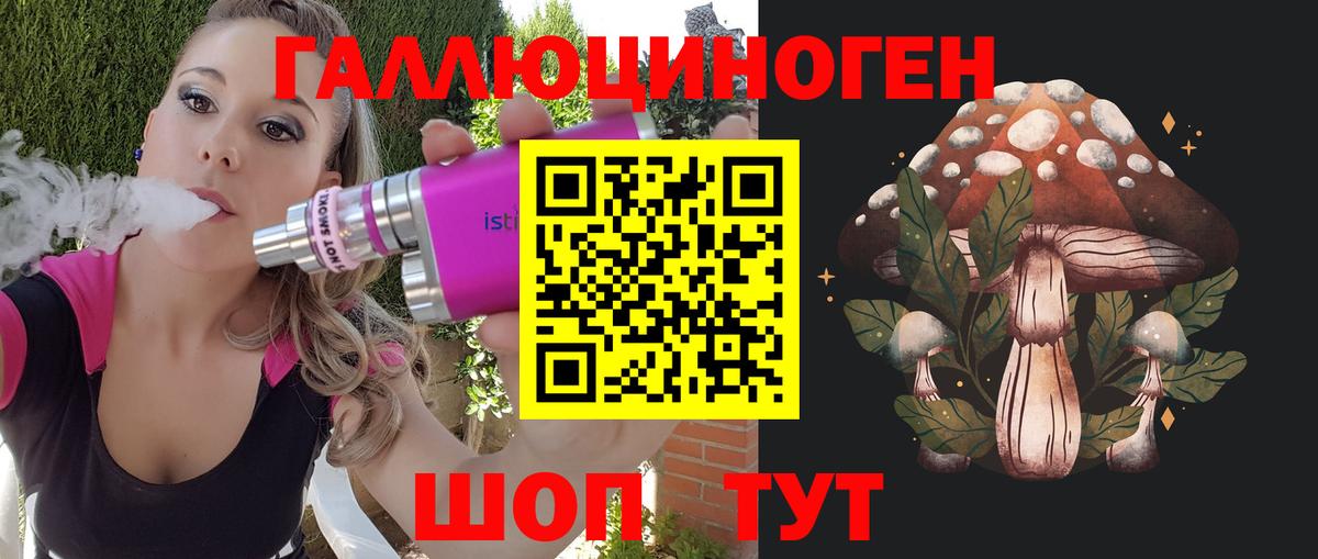 Галлюциногенные грибы Psilocybe Лабытнанги